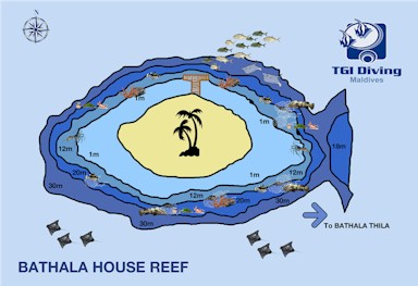 Bathala Housereef